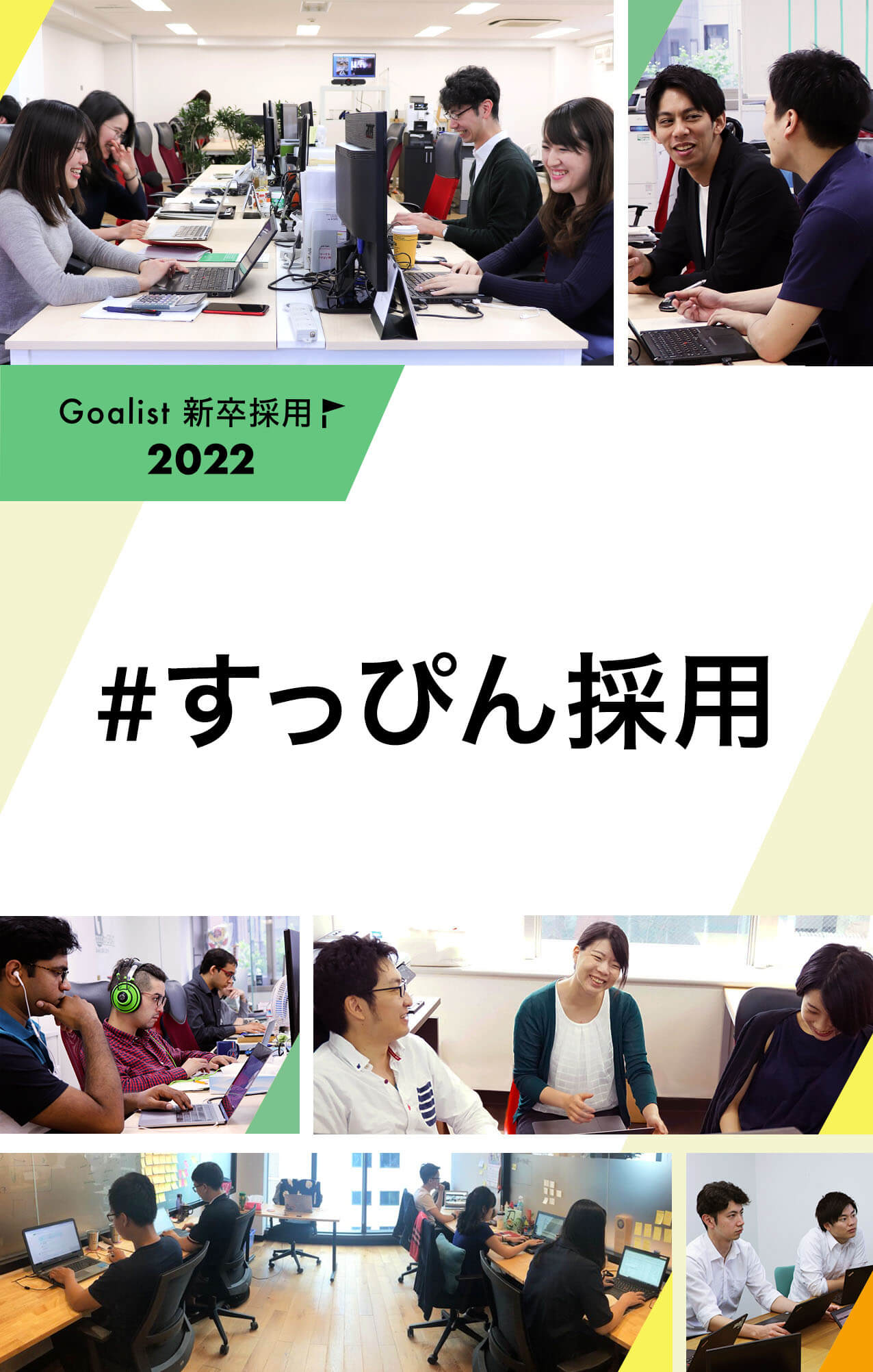 新卒採用